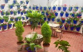 Apartamento Toril-Casco Historico